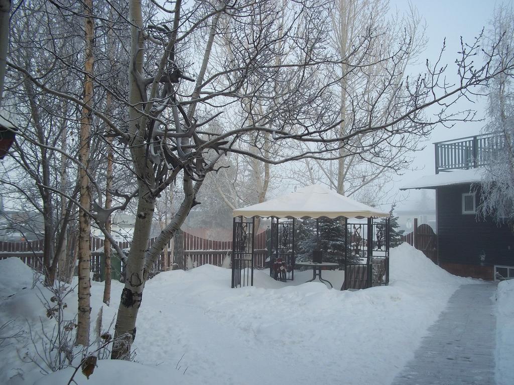 Historical Guest House Whitehorse Bagian luar foto