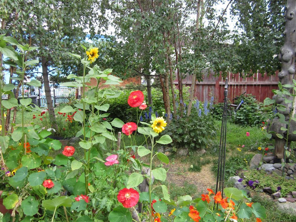 Historical Guest House Whitehorse Bagian luar foto